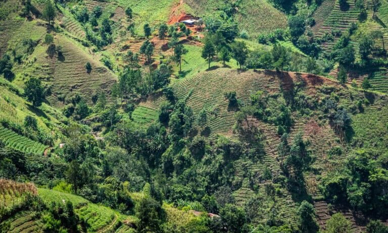 Haiti
