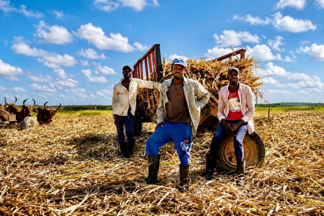 Petition for Haitian Sugarcane Workers in the Dominican Republic Petition for Haitian Sugarcane Workers in the Dominican Republic